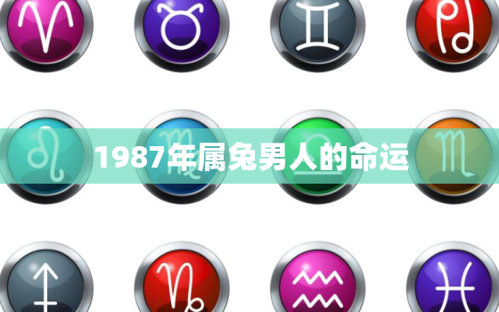 1987年属兔男人的命运，1987年属兔男命运如何