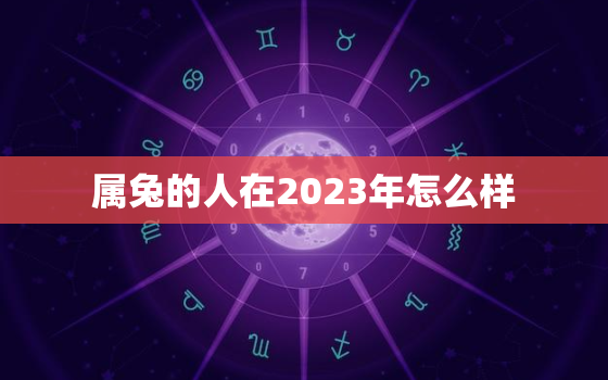 属兔的人在2023年怎么样，属兔的在2023年的运势怎么样 全年