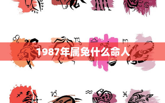 1987年属兔什么命人，1987年属兔属什么命