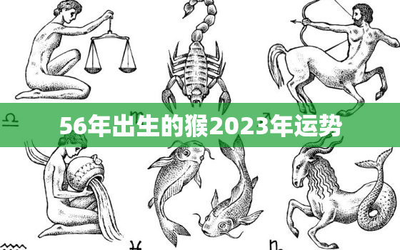 56年出生的猴2023年运势，1956属猴2023年整体运势