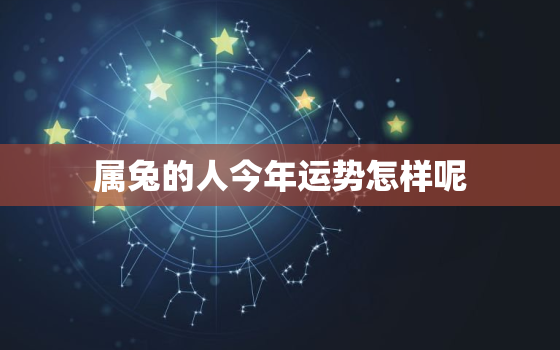 属兔的人今年运势怎样呢，属兔的人今年运气怎么样?