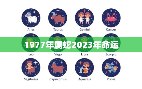 1977年属蛇2023年命运，1977年属蛇人2023年运势每月运势