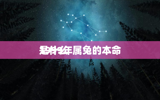 1999年属兔的本命
是什么
，1999年属兔的本命
是什么
