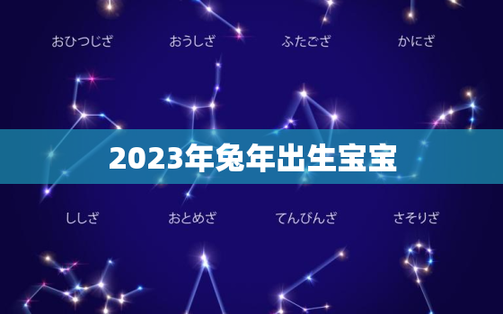 2023年兔年出生宝宝，2023年属兔的宝宝