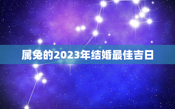 属兔的2023年结婚最佳吉日，2023年属兔结婚如何