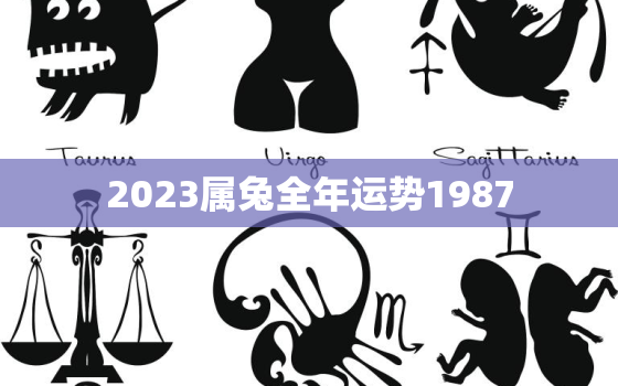 2023属兔全年运势1987，2023年属兔人运势1987