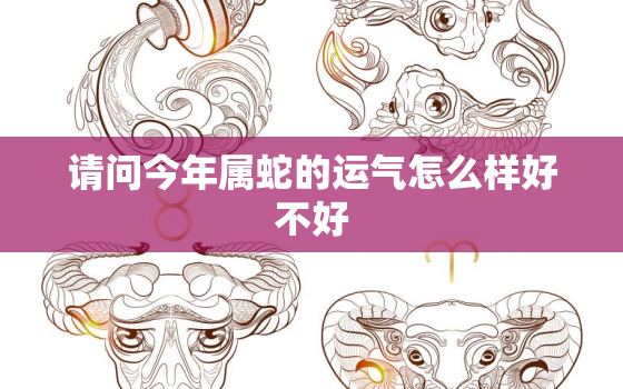 请问今年属蛇的运气怎么样好不好，今年属蛇的人今年运气好不好2021