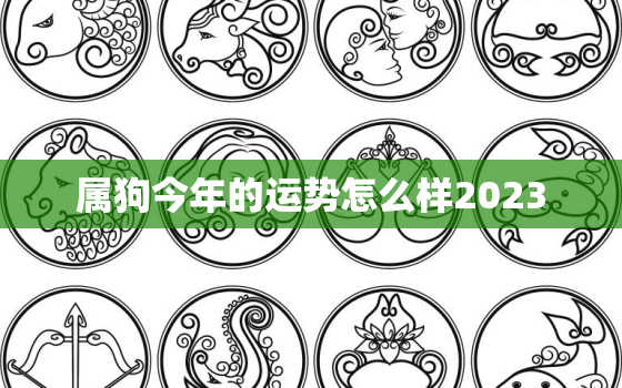 属狗今年的运势怎么样2023，属狗今年的运势怎么样2022幸运数字