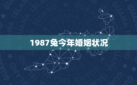 1987兔今年婚姻状况，87年兔今年婚姻