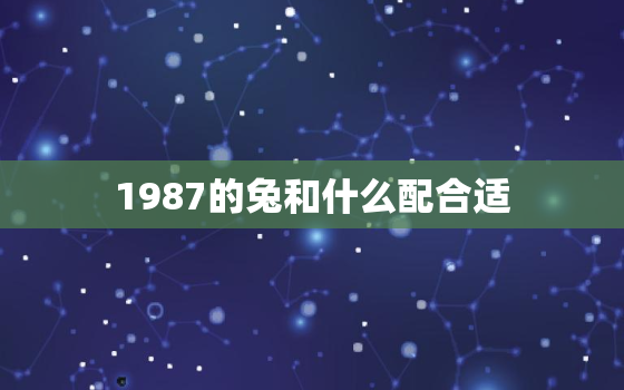 1987的兔和什么配合适，1987年属兔配什么属相