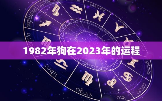 1982年狗在2023年的运程，1982年生肖狗2023年运势
