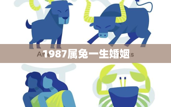 1987属兔一生婚姻，1987的兔一生婚姻状况