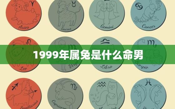 1999年属兔是什么命男，1999年属兔是什么命男婚配