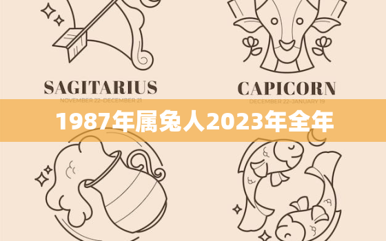 1987年属兔人2023年全年，1987年属兔2023年运势每月运势