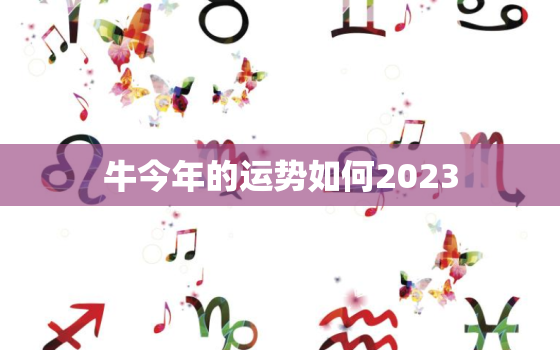 牛今年的运势如何2023，85牛今年的运势如何2023