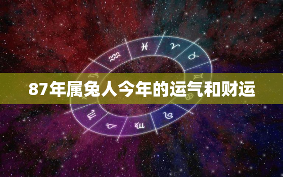 87年属兔人今年的运气和财运，87年属兔人今年的运气和财运2022