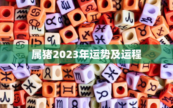 属猪2023年运势及运程，属猪2023年运势及运程1983年出生