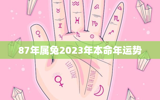 87年属兔2023年本命年运势，87年属兔女2023年本命年运势感情运势