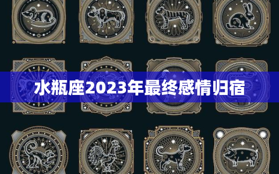 水瓶座2023年最终感情归宿，水瓶座2023年感情运势