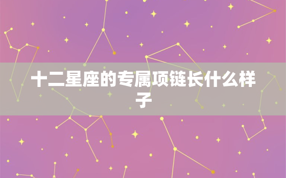 十二星座的专属项链长什么样子，十二星座的专属项链是什么样子给我看一下