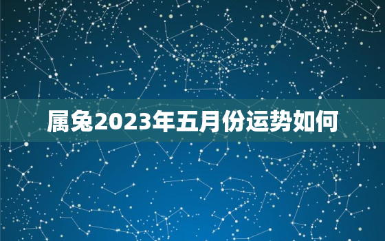 属兔2023年五月份运势如何，属兔2023年五月份运势如何