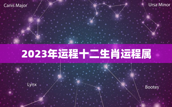 2023年运程十二生肖运程属，2023年运程十二生肖每月运程