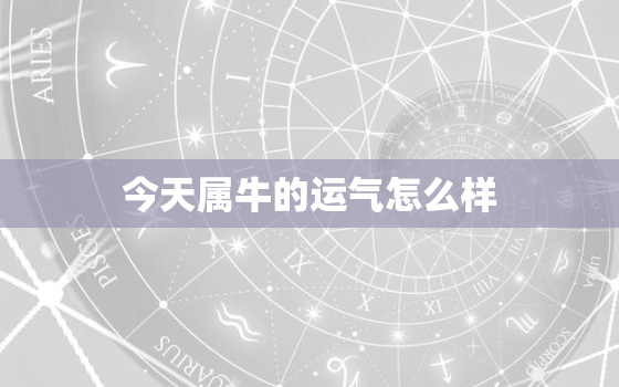 今天属牛的运气怎么样，今天属牛的财运和运气如何