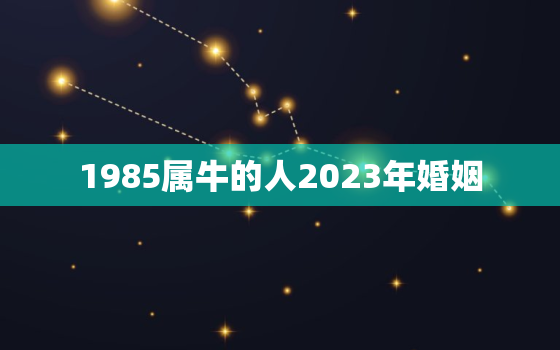 1985属牛的人2023年婚姻，1985属牛男2023的婚姻命运