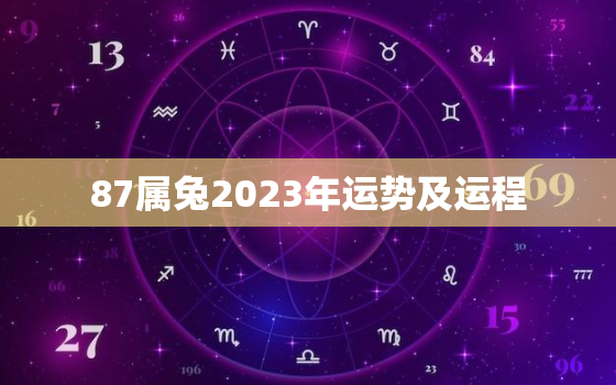 87属兔2023年运势及运程，87年属兔2023年运势及运程