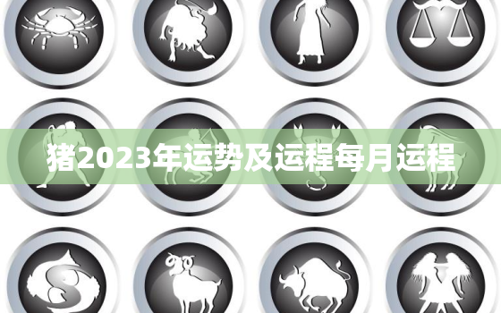 猪2023年运势及运程每月运程，猪今年的运势如何2023