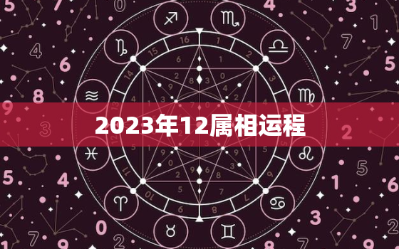 2023年12属相运程，2023年12属相谁有财运