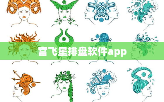 宫飞星排盘软件app，宫飞星口诀