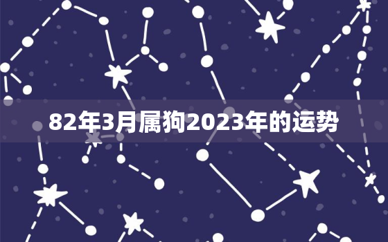 82年3月属狗2023年的运势，1982年属狗人2023年每月运势