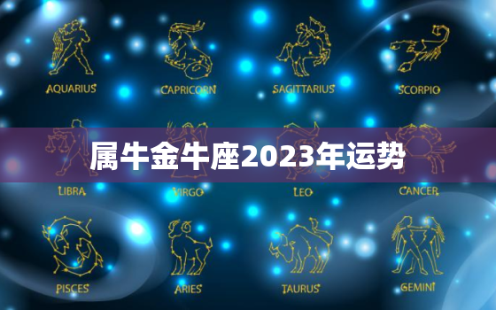 属牛金牛座2023年运势，生肖牛金牛座2023年运势