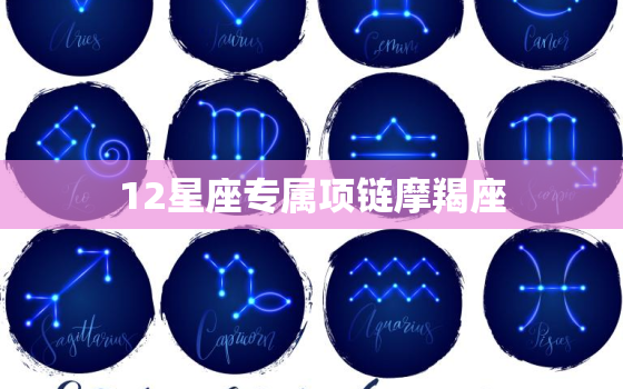 12星座专属项链摩羯座，摩羯座专属项链图片