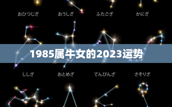 1985属牛女的2023运势，1985属牛女的在2023年运气