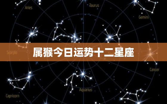 属猴今日运势十二星座，属猴今日运势非常运势网本周运势