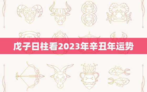 戊子日柱看2023年辛丑年运势，戊子日柱2023辛丑流年