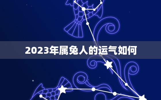 2023年属兔人的运气如何，2023年属兔人全年运势