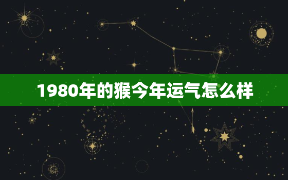 1980年的猴今年运气怎么样，1980年的猴今年运势如何