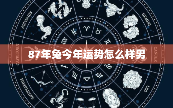 87年兔今年运势怎么样男，87年属兔的2023年运势怎么样男