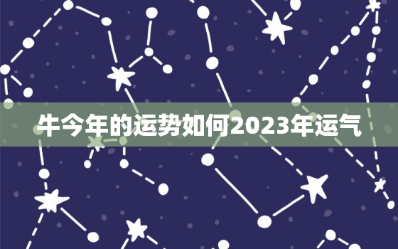 牛今年的运势如何2023年运气，牛今年的运势如何2023