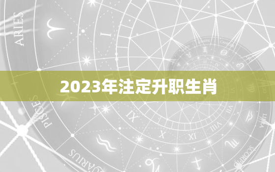 2023年注定升职生肖，2023年份生肖