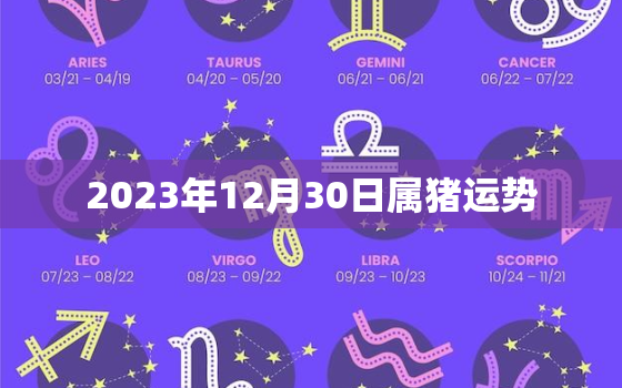 2023年12月30日属猪运势，20201230日生肖运势