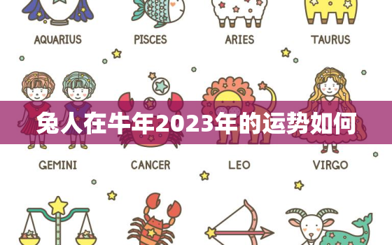 兔人在牛年2023年的运势如何，兔人牛年运势2023运势详解