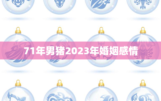 71年男猪2023年婚姻感情，属猪人2023最倒霉