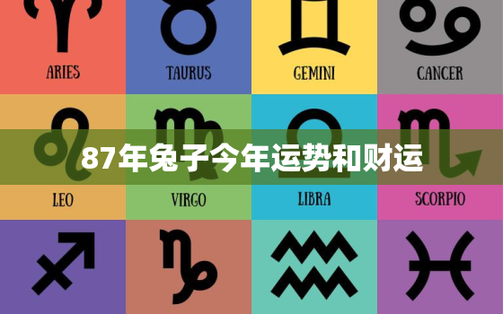 87年兔子今年运势和财运，87年兔子今年运势和财运怎么样