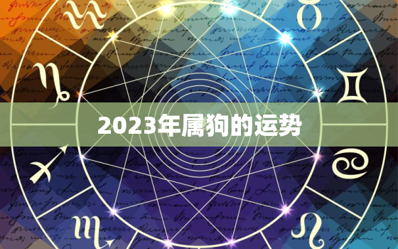 2023年属狗的运势，2023年属狗的运势和财运1982年男