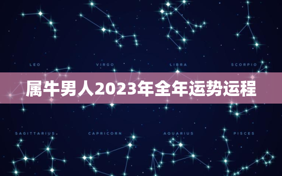 属牛男人2023年全年运势运程，属牛男人2023年全年运势运程图