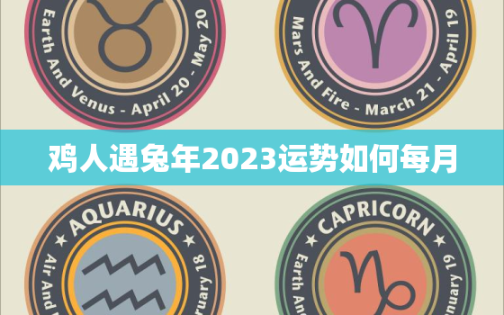 鸡人遇兔年2023运势如何每月，生肖鸡遇兔年